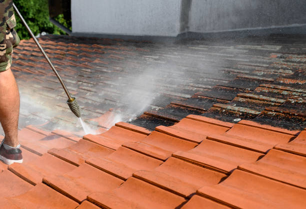 Best Pressure Washing Near Me  in Binghamton, NY