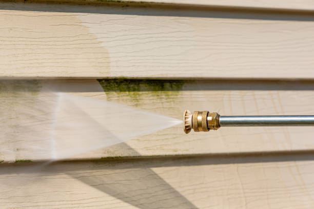 Best House Pressure Washing  in Binghamton, NY